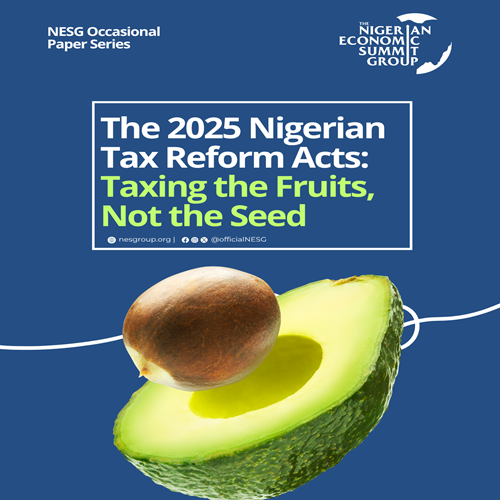 NESG, Think-Tank, NESG Nigeria, The Nigerian Economic Summit Group